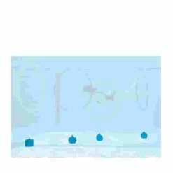 5 Weights For Water Games