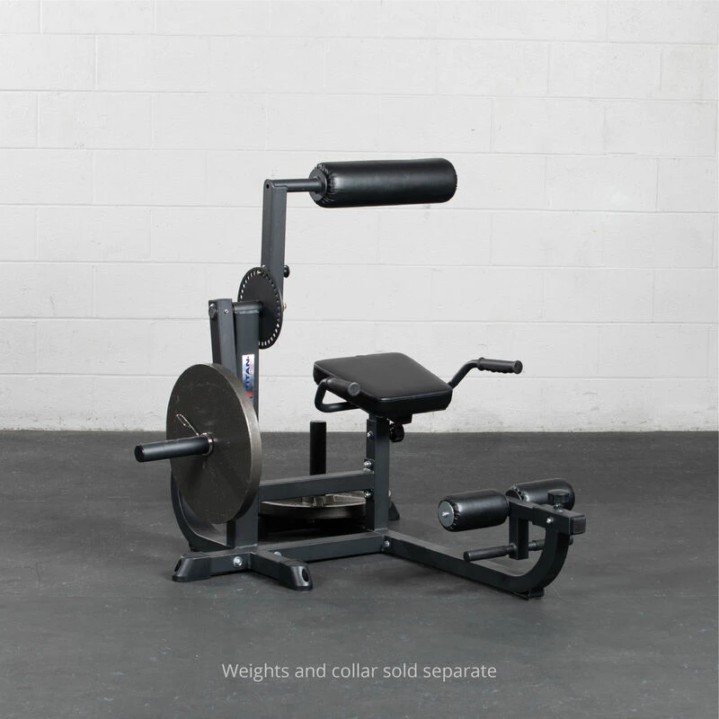 Seated Ab / Back Extension Machine - Image 3
