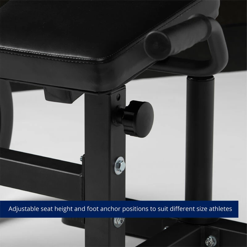 Seated Ab / Back Extension Machine - Image 8